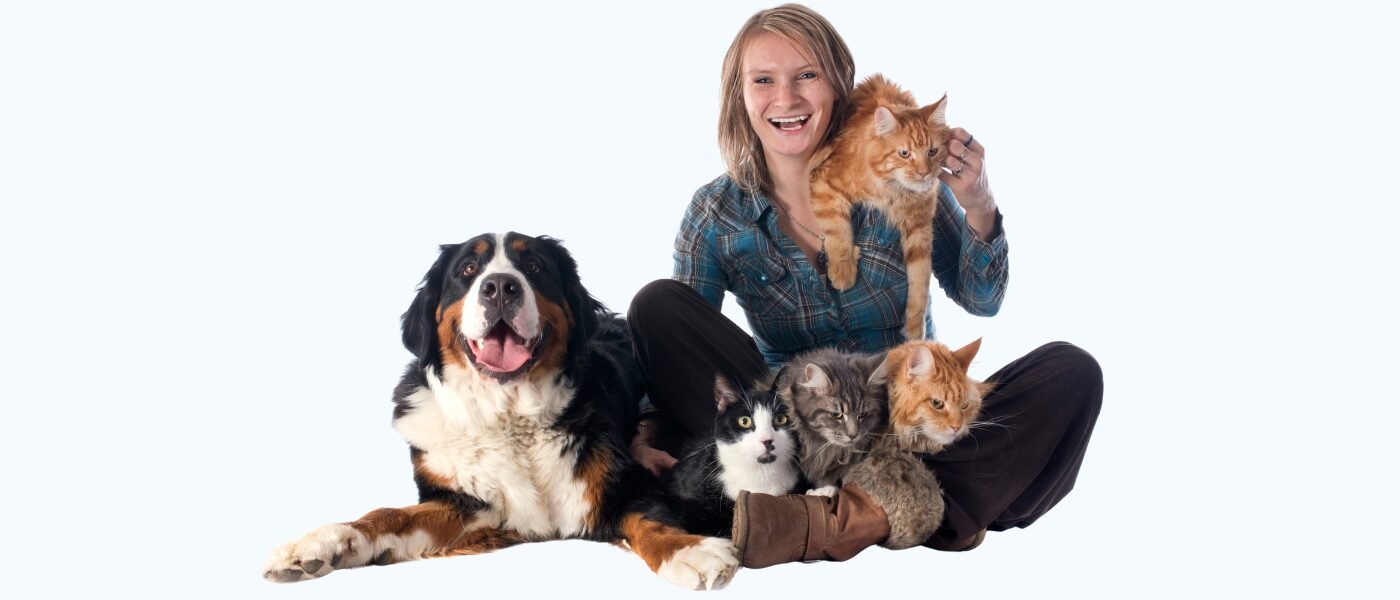 Marketing para pet shop