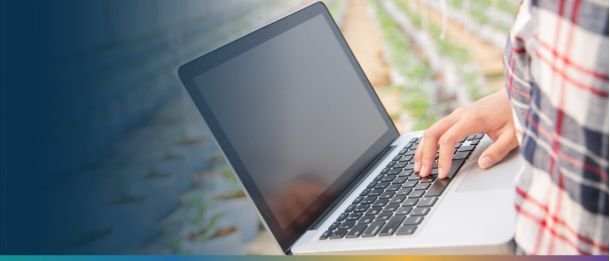 Profissional do agronegócio colhendo dados de seu plantio com um notebook.